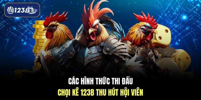 Các hình thức thi đấu chọi kê 123B thu hút hội viên