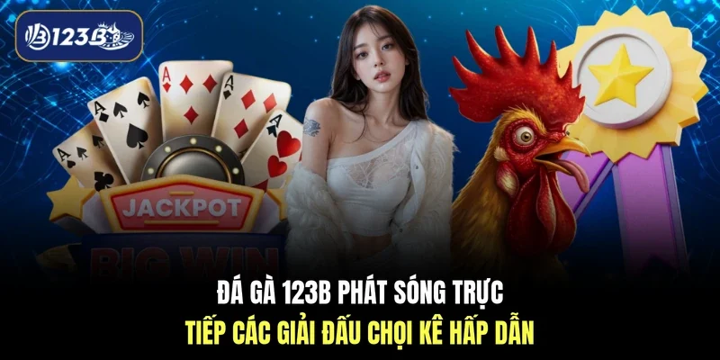 Đá gà 123B phát sóng trực tiếp các giải đấu chọi kê hấp dẫn