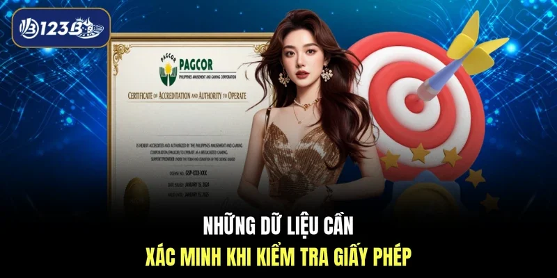 Những dữ liệu cần xác minh khi kiểm tra giấy phép